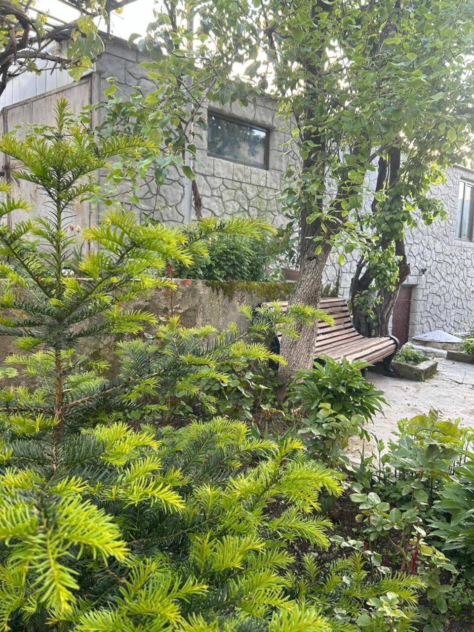 Танхаус ديليجان المظهر الخارجي الصورة